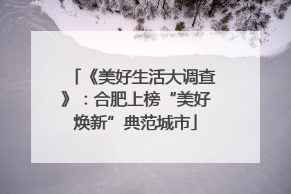 《美好生活大调查》：合肥上榜“美好焕新”典范城市