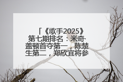 《歌手2025》第七期排名：米奇·盖顿首夺第一，陈楚生第二，郑欣宜将参加下一轮张榜赛