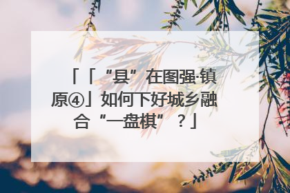 「“县”在图强·镇原④」如何下好城乡融合“一盘棋”？