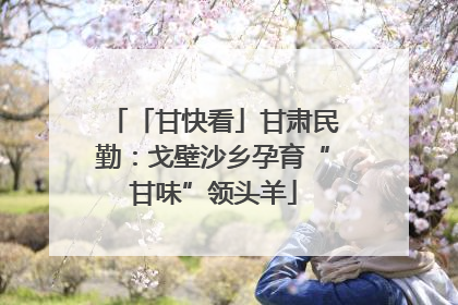 「甘快看」甘肃民勤：戈壁沙乡孕育“甘味”领头羊