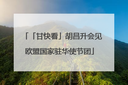 「甘快看」胡昌升会见欧盟国家驻华使节团
