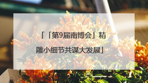 「第9届南博会」精雕小细节共谋大发展