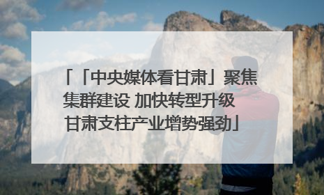 「中央媒体看甘肃」聚焦集群建设 加快转型升级 甘肃支柱产业增势强劲