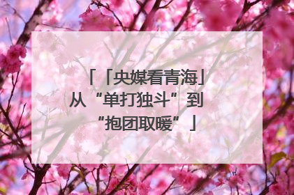 「央媒看青海」从“单打独斗”到“抱团取暖”