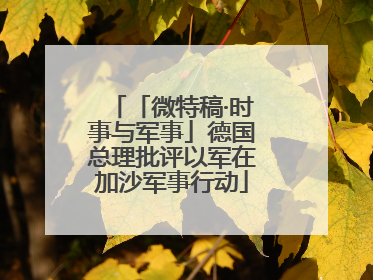 「微特稿·时事与军事」德国总理批评以军在加沙军事行动