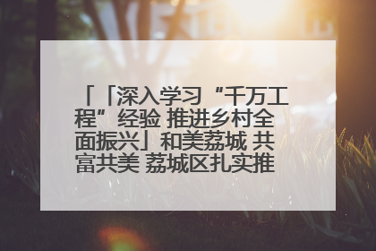 「深入学习“千万工程”经验 推进乡村全面振兴」和美荔城 共富共美 荔城区扎实推进乡村振兴工作