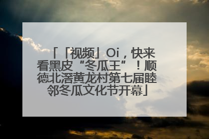 「视频」Oi，快来看黑皮“冬瓜王”！顺德北滘黄龙村第七届睦邻冬瓜文化节开幕