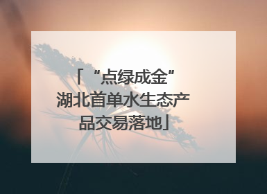 “点绿成金” 湖北首单水生态产品交易落地