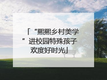 “熙熙乡村美学”进校园特殊孩子欢度好时光