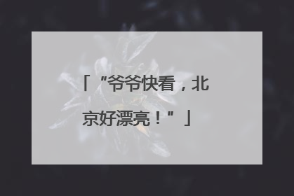 “爷爷快看，北京好漂亮！”