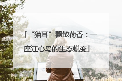 “猫耳”飘散荷香：一座江心岛的生态蜕变