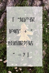 “知产保护哨”+“经盾服务站”=？