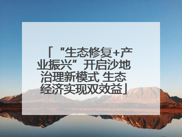 “生态修复+产业振兴”开启沙地治理新模式 生态经济实现双效益