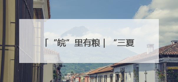 “皖”里有粮｜“三夏”时节，一“皖”麦香