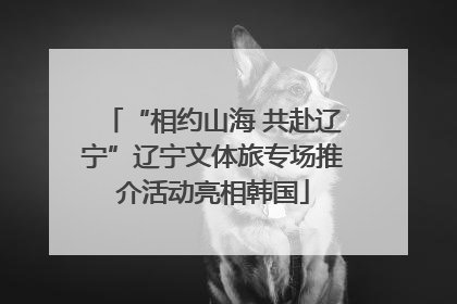 “相约山海 共赴辽宁”辽宁文体旅专场推介活动亮相韩国