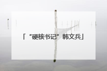 “硬核书记”韩文兵