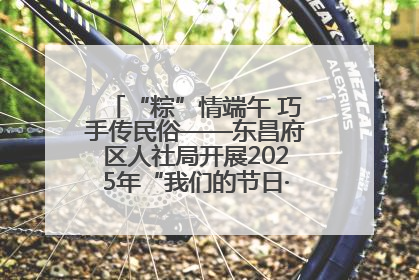 “粽”情端午 巧手传民俗——东昌府区人社局开展2025年“我们的节日·端午”包粽子活动