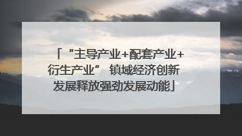 “主导产业+配套产业+衍生产业” 镇域经济创新发展释放强劲发展动能