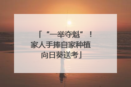 “一举夺魁”！家人手捧自家种植向日葵送考