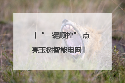 “一键顺控” 点亮玉树智能电网