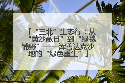 “三北”生态行：从“黄沙蔽日”到“绿毯铺野”——浑善达克沙地的“绿色重生”