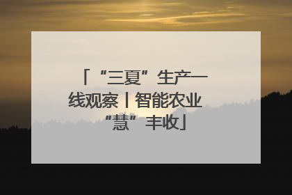 “三夏”生产一线观察丨智能农业“慧”丰收