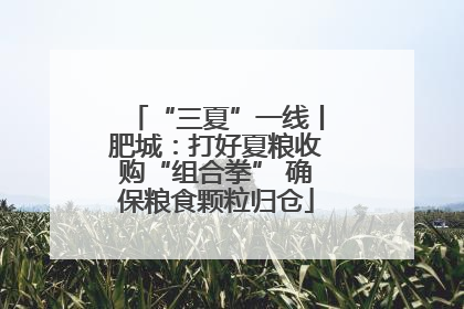 “三夏”一线丨肥城：打好夏粮收购“组合拳” 确保粮食颗粒归仓