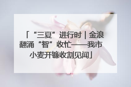 “三夏”进行时｜金浪翻涌“智”收忙——我市小麦开镰收割见闻