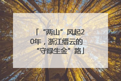 “两山”风起20年，浙江缙云的“守绿生金”路