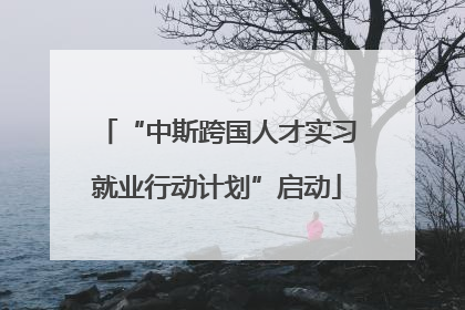 “中斯跨国人才实习就业行动计划”启动