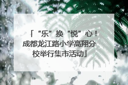 “乐”换“悦”心！成都龙江路小学高翔分校举行集市活动