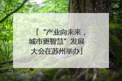 “产业向未来，城市更智慧”发展大会在苏州举办