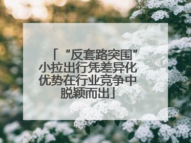 “反套路突围”小拉出行凭差异化优势在行业竞争中脱颖而出