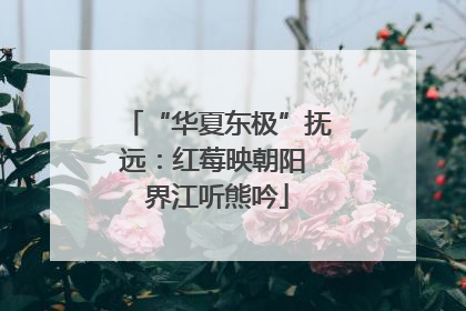 “华夏东极”抚远：红莓映朝阳 界江听熊吟