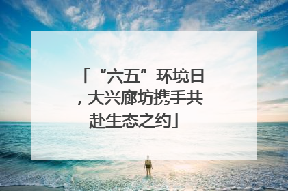 “六五”环境日，大兴廊坊携手共赴生态之约