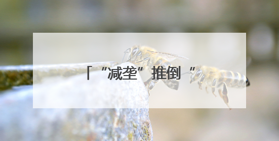 “减垄”推倒“隐形墙”，百亩地“捡”回十亩粮