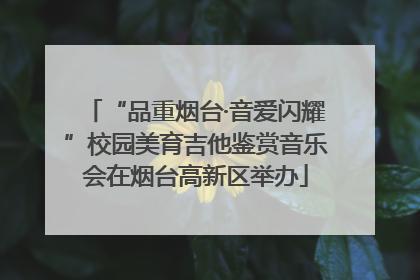 “品重烟台·音爱闪耀”校园美育吉他鉴赏音乐会在烟台高新区举办
