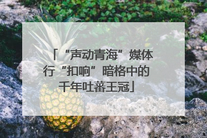 “声动青海”媒体行“扣响”暗格中的千年吐蕃王冠