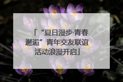“夏日漫步·青春邂逅”青年交友联谊活动浪漫开启