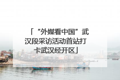 “外媒看中国”武汉段采访活动首站打卡武汉经开区