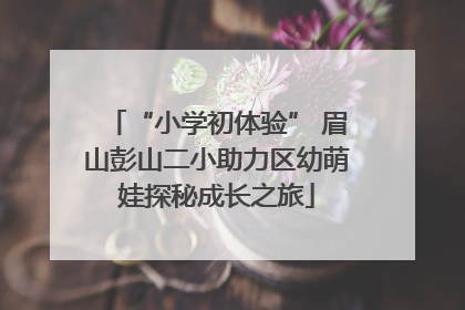 “小学初体验” 眉山彭山二小助力区幼萌娃探秘成长之旅