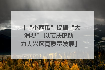 “小西瓜”提振“大消费” 以节庆IP助力大兴区高质量发展