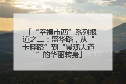 “幸福市西”系列报道之二：盛华路，从“卡脖路”到“景观大道”的华丽转身