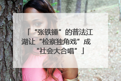 “张铁锤”的普法江湖让“检察独角戏”成“社会大合唱”