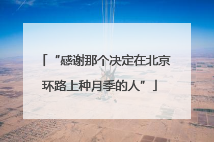 “感谢那个决定在北京环路上种月季的人”