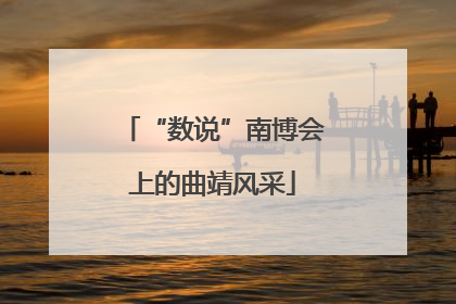 “数说”南博会上的曲靖风采