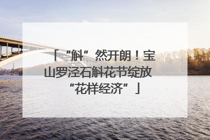 “斛”然开朗！宝山罗泾石斛花节绽放“花样经济”