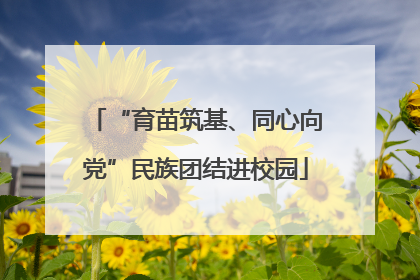 “育苗筑基、同心向党”民族团结进校园
