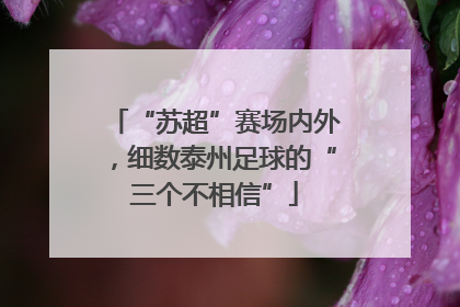 “苏超”赛场内外，细数泰州足球的“三个不相信”
