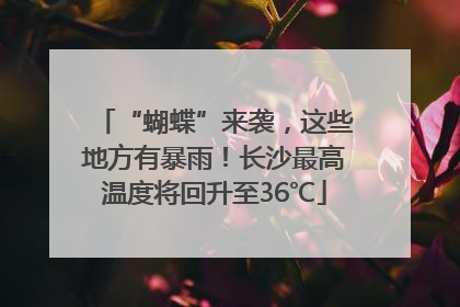 “蝴蝶”来袭，这些地方有暴雨！长沙最高温度将回升至36℃
